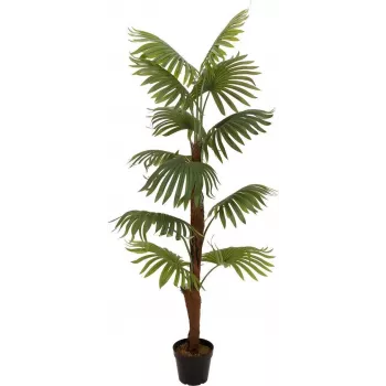 EUROPALMS mākslīgais vēdekļpalmas augs, 155cm 82509303