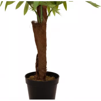 EUROPALMS mākslīgais vēdekļpalmas augs, 155cm 82509303