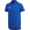 adidas Condivo 20 vīriešu polo krekls Team Royal Blue/White ED9237 izmērs S