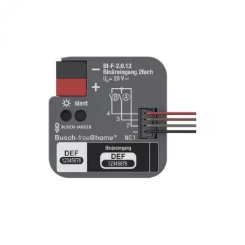 BUSCH-JAEGER KNX binārais ievads 2-kārtīgs iegremdējami uzstādāms BI-F-2.0.12 (2CDG510023R0021)
