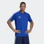 Adidas Tiro 19 treniņu krekls ar īsām piedurknēm, poliesters, melns/balts, vīriešu S