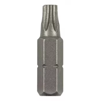 Bosch Torx uzgalis T 8 C 6.3 2 gab. (2609255931)