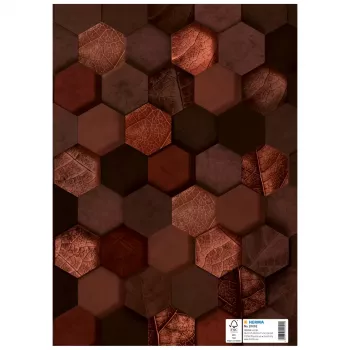 HERMA Heftschoner X, kartons, DIN A4, brūns, ar marķēšanas lauku, 10 gabali (20092)