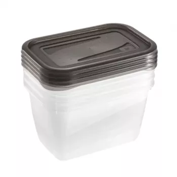 keeeper fredo fresh Pārtikas uzglabāšanas trauku komplekts, 4 x 0,75 L, Taisnstūrveida, Caurspīdīgi ar pelēkiem vākiem 3067382700000