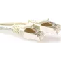 ACT ziloņkaula 3m S/FTP CAT6A bez aizķeršanās tīkla kabelis (FB6003)
