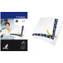 KANGARO oglekļa kopējpapīrs DIN A4, 100 loksnes, zils, 210 x 297 mm, manuālai rakstīšanai K-7800478