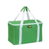 GIOSTYLE Termosoma Evo Square Assorted, zaļa/sarkana/zila ar dekoru, 15 L