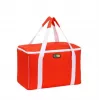 GIOSTYLE Termosoma Evo Square Assorted, zaļa/sarkana/zila ar dekoru, 15 L