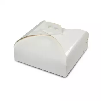 GUARDINI Easy Bake papīra kūku pārnēsāšanas kaste 33x33x11,5 cm
