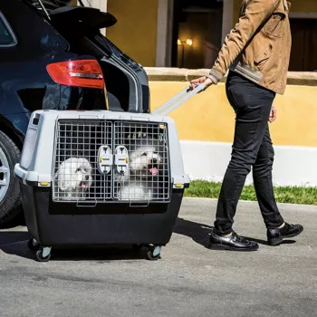 STEFANPLAST Gulliver Touring 80 transporta būris lieliem suņiem, tumši pelēks/gaiši pelēks, aviosabiedrības apstiprināts