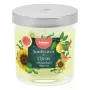 BOLSIUS Floral Fusion smaržvīraks stikla burkā, saulespuķe un citrusaugļi, Ø80x72mm