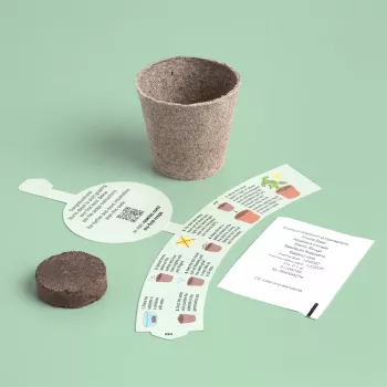 Resetea My First Crops – baziliku audzēšanas komplekts (Erst440)