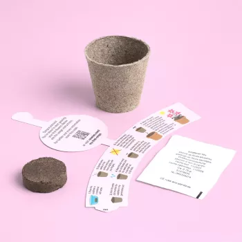 Resetea My First Crops – ziedu audzēšanas komplekts (Erst441)
