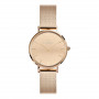 Daniel Wellington DW00100795 sieviešu pulkstenis, 28 mm