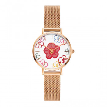 Daniel Wellington DW00100722 sieviešu pulkstenis, 36 mm