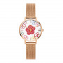 Daniel Wellington DW00100722 sieviešu pulkstenis, 36 mm