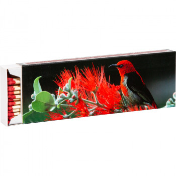 Flamax sērkociņi 20 cm, 55 gab. kastītē