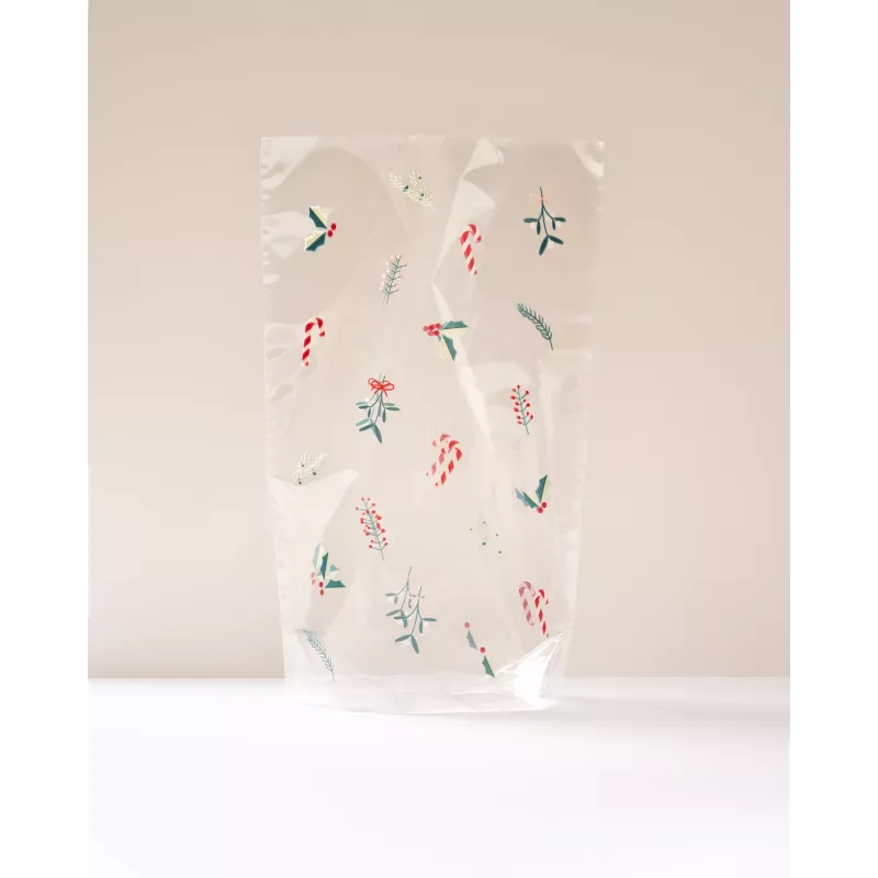 Folia PP maisiņš ar taisnstūra dibenu A FLORAL CHRISTMAS, 14,5 x 23,5 cm