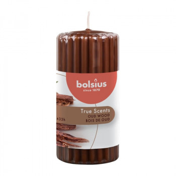 Bolsius True Scents smaržīga cilindriskā svece Ø58 x 120 mm, Oud Wood