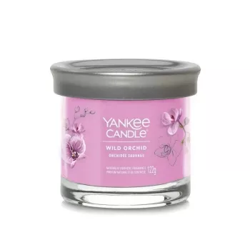 Yankee svece glāzē ar 1 dakti, Wild Orchid