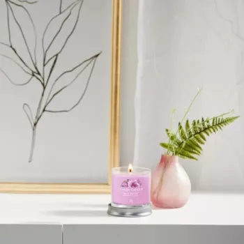 Yankee svece glāzē ar 1 dakti, Wild Orchid