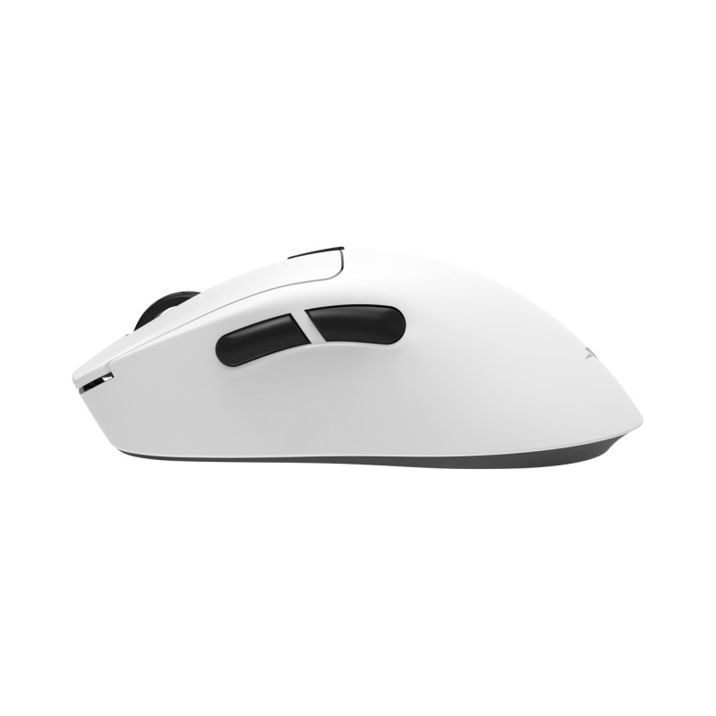 White Shark TOR WGM-5024 spēļu pele, balta