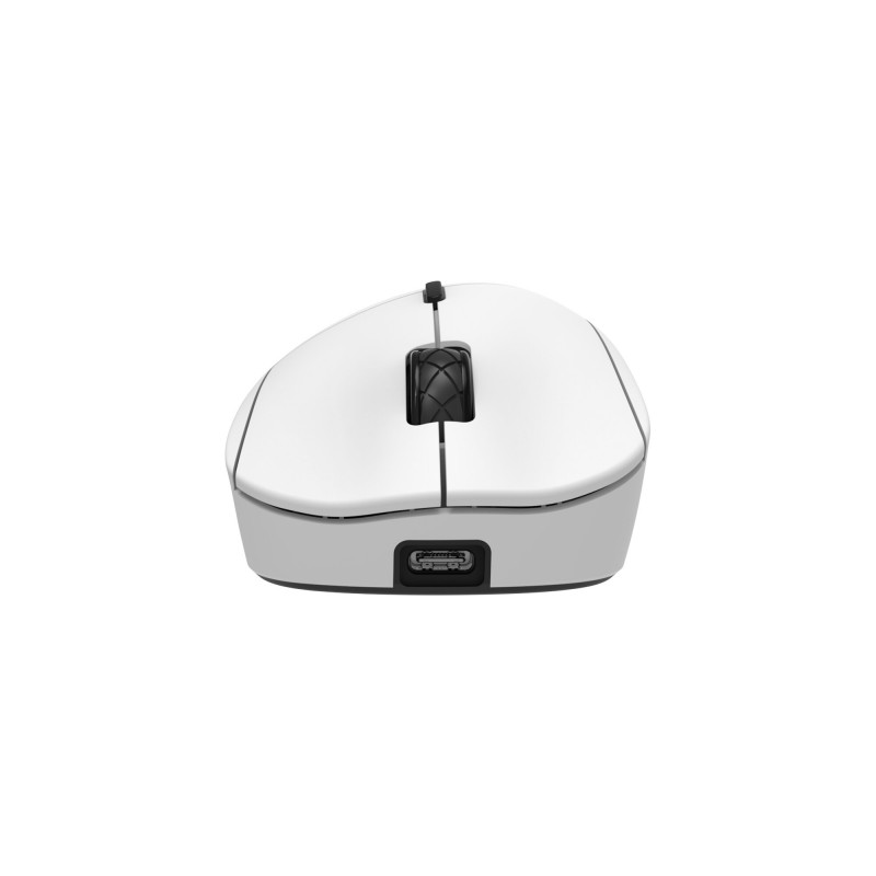 White Shark TOR WGM-5024 spēļu pele, balta