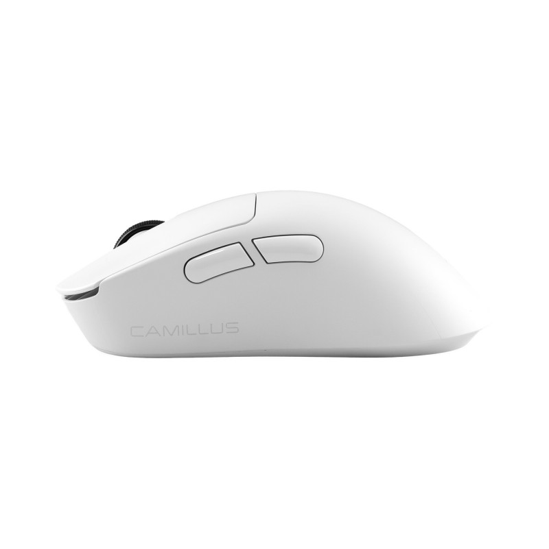 White Shark CAMILLUS WGM-9013 spēļu pele, balta