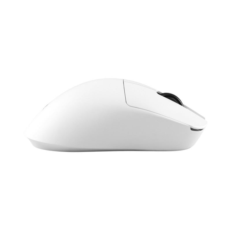 White Shark CAMILLUS WGM-9013 spēļu pele, balta