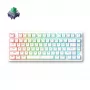 Mchose Jet 75 HW-Jet75-8 spēļu tastatūra, Kailh Magnetic God slēdži