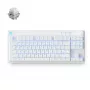 Mchose Mix 87 HW-Mix87-7 spēļu tastatūra, Mount Tai Magnetic Switch GT