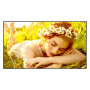 LG 55UL5Q-M 55 collu LCD displejs, 3840 x 2160, 4K Ultra HD, 16:9