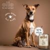 OLLO Pure Deer mitrā suņu barība, 850 g