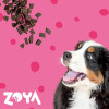 ZOYA ColdPRO Beef sausā barība suņiem, 1 kg
