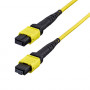 StarTech.com OS2MTP12BOFNP2M MTP/MPO-12 vienmodas optiskās šķiedras savienojuma kabelis (2 m)