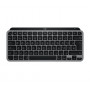 Logitech Master Series MX Keys Mini for Mac tastatūra (920-012647)