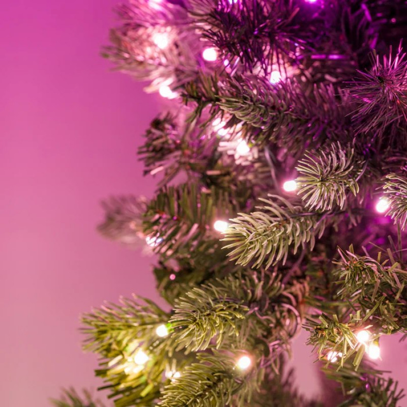 Twinkly iepriekš apgaismots vainags 50 RGB LED, zaļš vads, C tipa spraudnis, 60 cm
