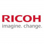 Ricoh D0BN2243 attīstītājs dzeltens