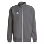 adidas Entrada 22 prezentācijas jaka komandas pelēka četri M