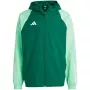 adidas Tiro 23 Competition Visiem laikapstākļiem Vīriešu jaka Zaļa IC4570