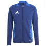 adidas Tiro 24 Competition vīriešu treniņu sporta krekls komandas karaliski zils