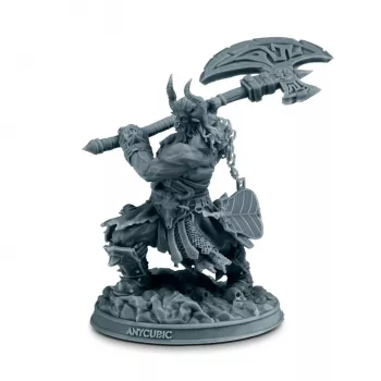 Anycubic Standard V2 1kg Sveķi HD Pelēks