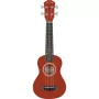 Arrow PB10 NT Soprano Natura Ukulele ar somu
