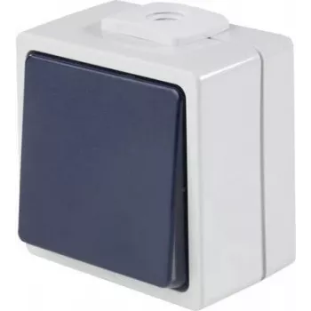 AS SCHWABE 62452 Virsmas montāžas spiedpogas slēdzis, IP54, pelēks, 250V/10A, 1NO