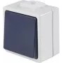 AS SCHWABE 62452 Virsmas montāžas spiedpogas slēdzis, IP54, pelēks, 250V/10A, 1NO