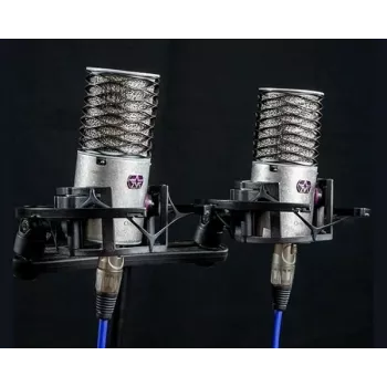 Aston Microphones Origin Stereo Pair Condenser