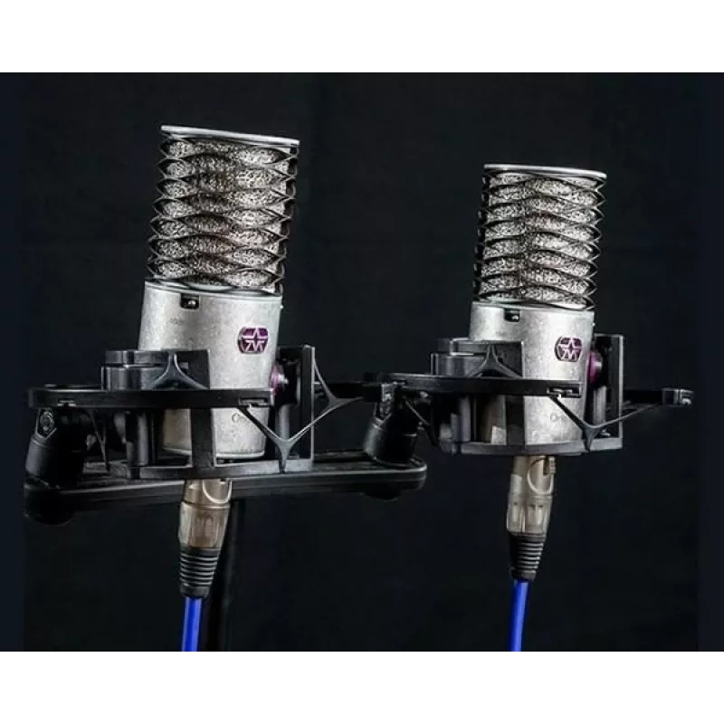 Aston Microphones Origin Stereo Pair Condenser