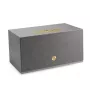 Audio Pro C10 MkII bezvadu multiroom skaļrunis ar AirPlay 2 un Chromecast, pelēks