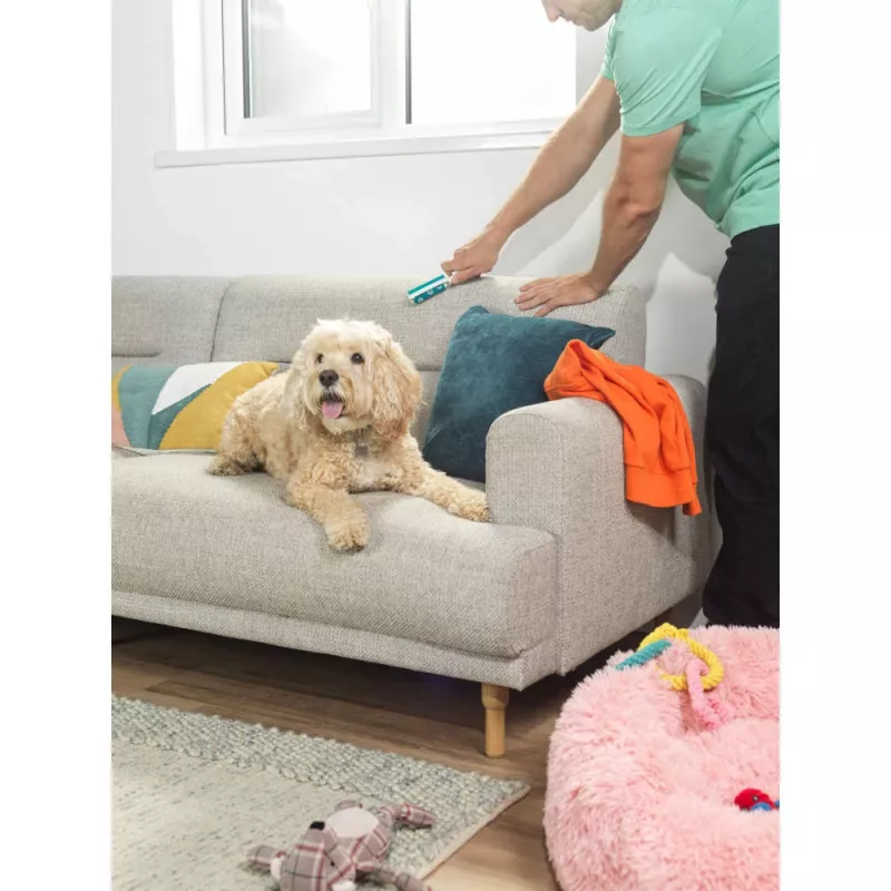 Beldray LA00000018UFFEU7 Anti-bac Gel Lint Roller Set - Atkārtoti lietojams silikona želejas lintu noņēmējs apģērbam, mīkstajām mēbelēm un mājdzīvnieku matiem - Zils/Pelēks