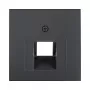 Berker 1407 16 06 centrālā plāksne UAE (RJ45) kontaktligzdai, 2-vietu, antracīta (55x55mm)